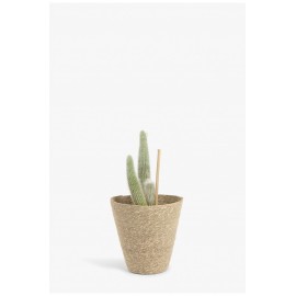 Calma House - Καλάθι Nori Natural 25x15x25cm Calma House - Καλάθι Nori Natural 25x15x25cm