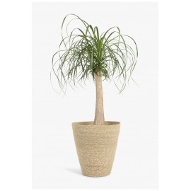 Calma House - Καλάθι Nori Natural 38x20x37cm