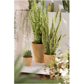 Calma House - Καλάθι Nori Natural 25x15x25cm Calma House - Καλάθι Nori Natural 25x15x25cm