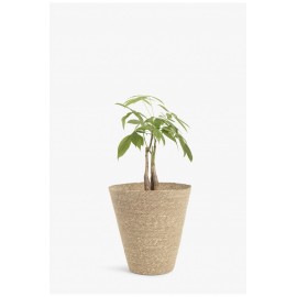 Calma House - Καλάθι Nori Natural 32x16x33cm