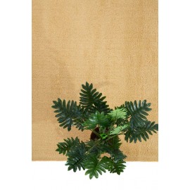 Χαλί Lilly 301 080 Royal Carpet - 80 x 150 cm