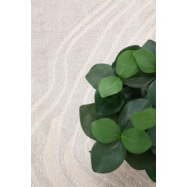 Χαλί Organic 249 CREAM Royal Carpet - 160 x 230 cm