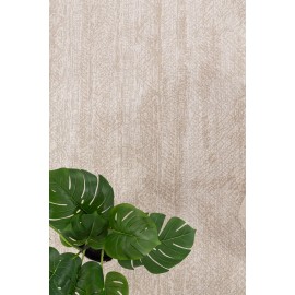 Μοντέρνο Χαλί Solid 1391 CREAM Royal Carpet - 160 x 230 cm Μοντέρνο Χαλί Solid 1391 CREAM Royal Carpet - 160 x 230 cm