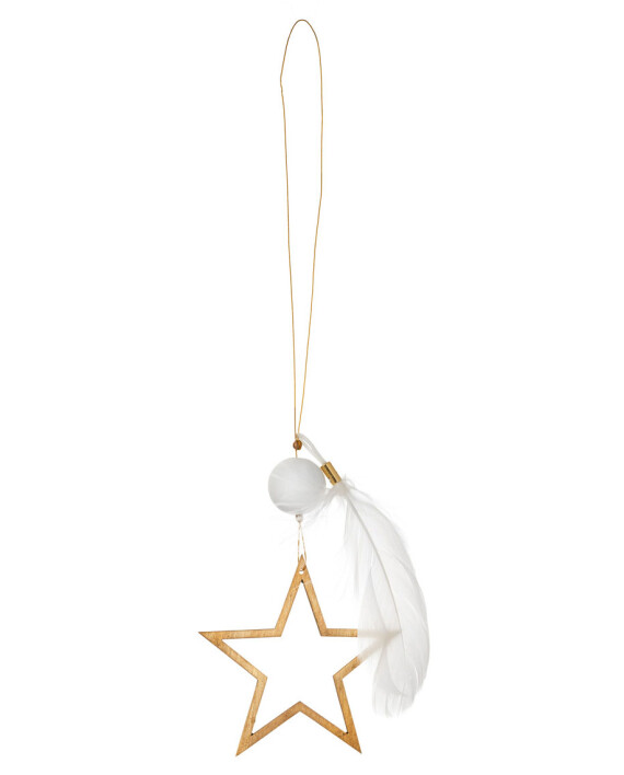 Raeder - Χριστουγεννιάτικο Στολίδι Χρυσό Αστέρι Με Φτερό