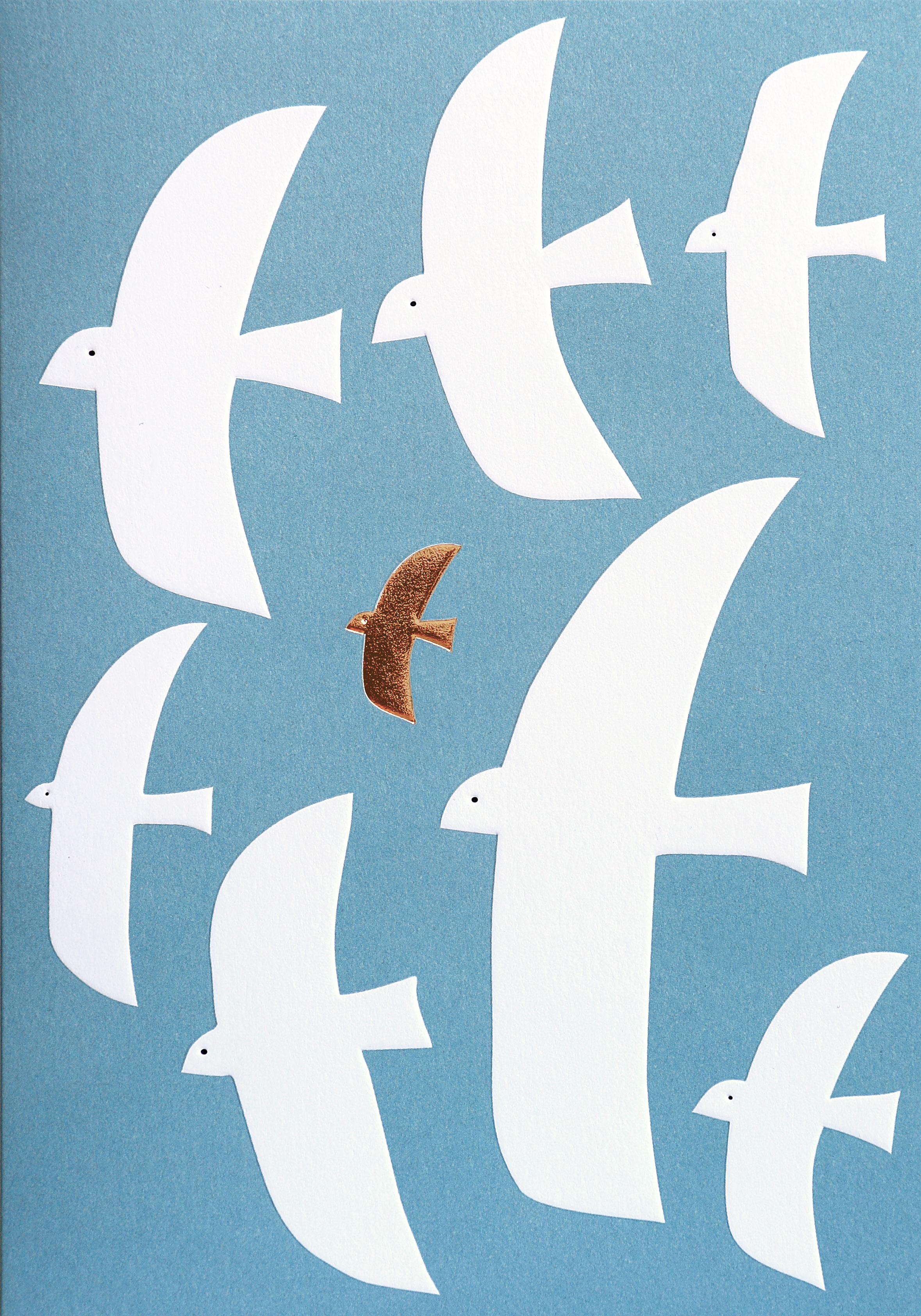 Trevoly - Ευχετήρια Κάρτα Birds